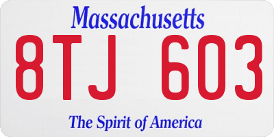 MA license plate 8TJ603