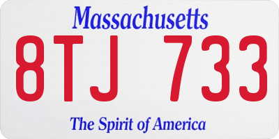 MA license plate 8TJ733