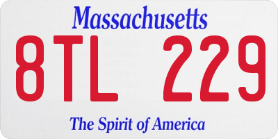 MA license plate 8TL229