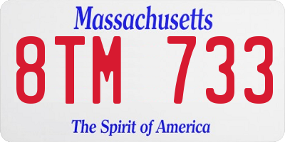MA license plate 8TM733