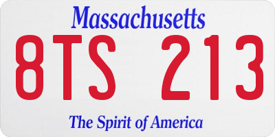 MA license plate 8TS213