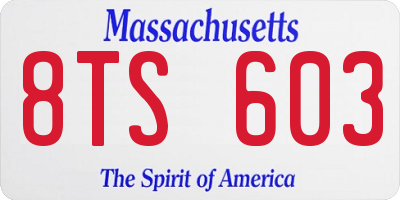 MA license plate 8TS603