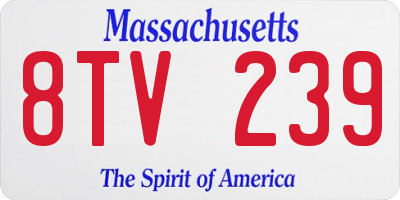 MA license plate 8TV239
