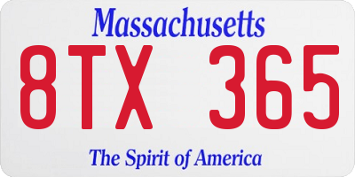 MA license plate 8TX365