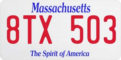MA license plate 8TX503