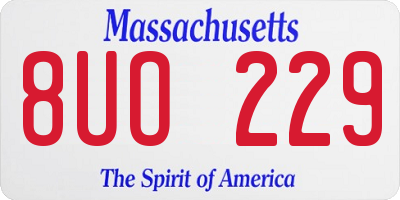 MA license plate 8UO229