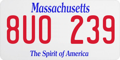 MA license plate 8UO239