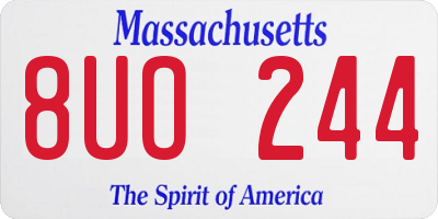MA license plate 8UO244