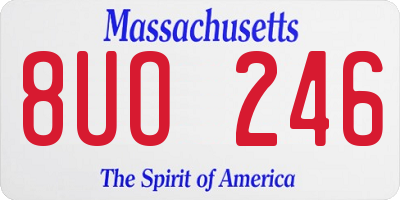 MA license plate 8UO246