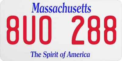 MA license plate 8UO288