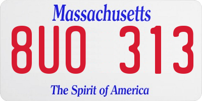 MA license plate 8UO313