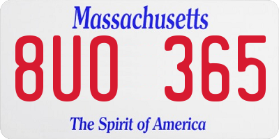 MA license plate 8UO365