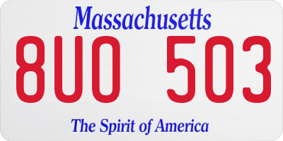 MA license plate 8UO503