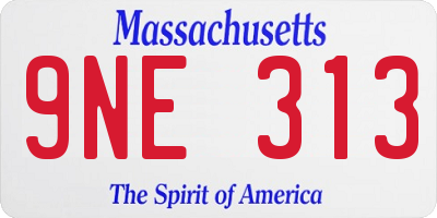 MA license plate 9NE313