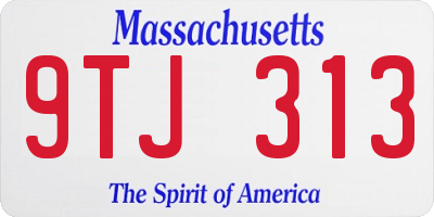 MA license plate 9TJ313