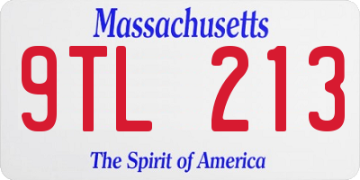MA license plate 9TL213
