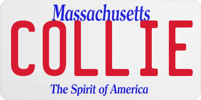 MA license plate COLLIE