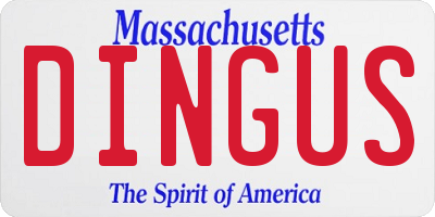 MA license plate DINGUS
