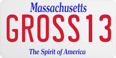 MA license plate GROSS13