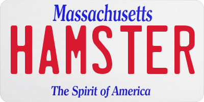MA license plate HAMSTER