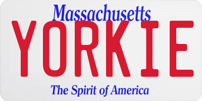 MA license plate YORKIE