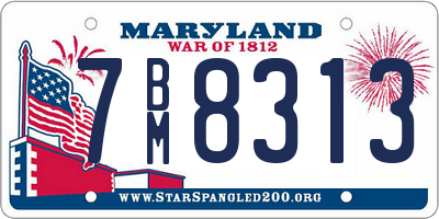 MD license plate 7BM8313