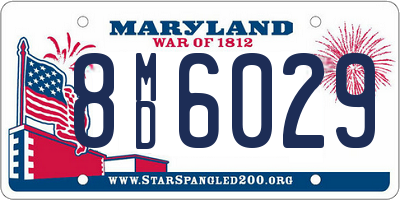 MD license plate 8MD6029