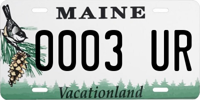 ME license plate 0003UR