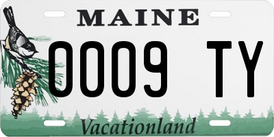 ME license plate 0009TY