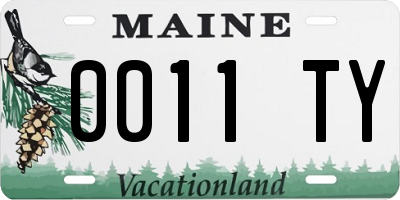 ME license plate 0011TY