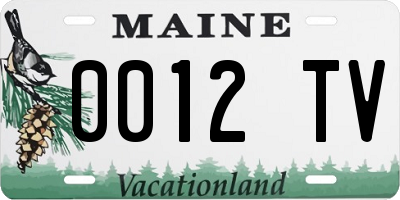 ME license plate 0012TV
