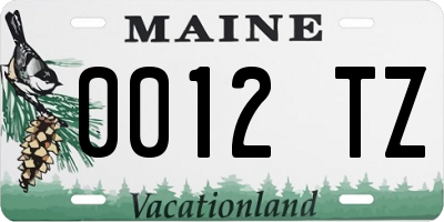 ME license plate 0012TZ