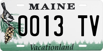 ME license plate 0013TV