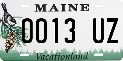 ME license plate 0013UZ