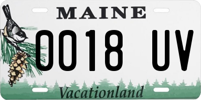 ME license plate 0018UV