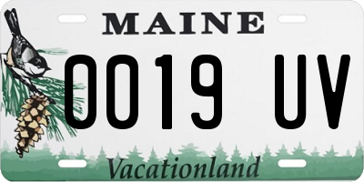 ME license plate 0019UV