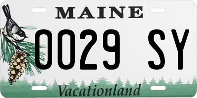 ME license plate 0029SY
