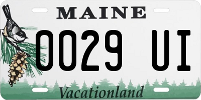 ME license plate 0029UI