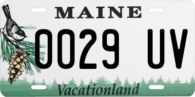 ME license plate 0029UV