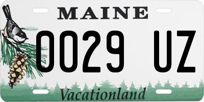 ME license plate 0029UZ