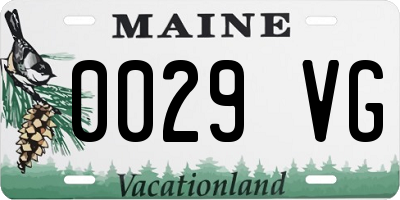 ME license plate 0029VG
