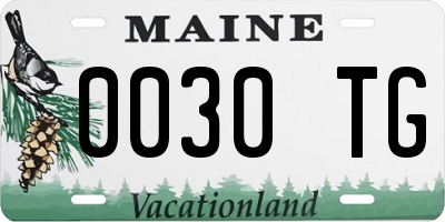 ME license plate 0030TG