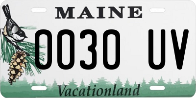 ME license plate 0030UV