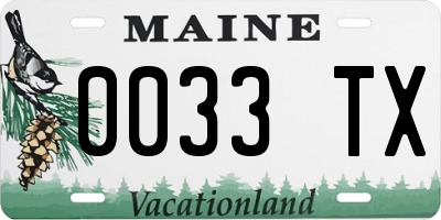 ME license plate 0033TX