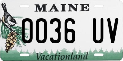 ME license plate 0036UV