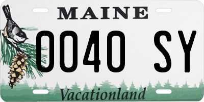 ME license plate 0040SY