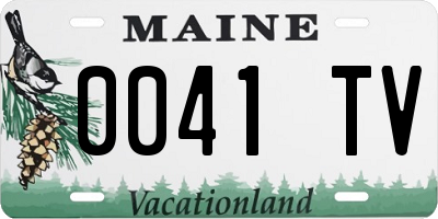 ME license plate 0041TV