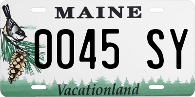 ME license plate 0045SY