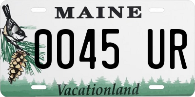 ME license plate 0045UR