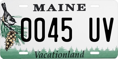 ME license plate 0045UV